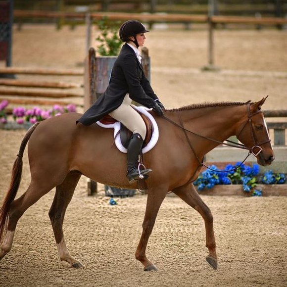 Meet your Posher, Brittany - Picture 3 of 5